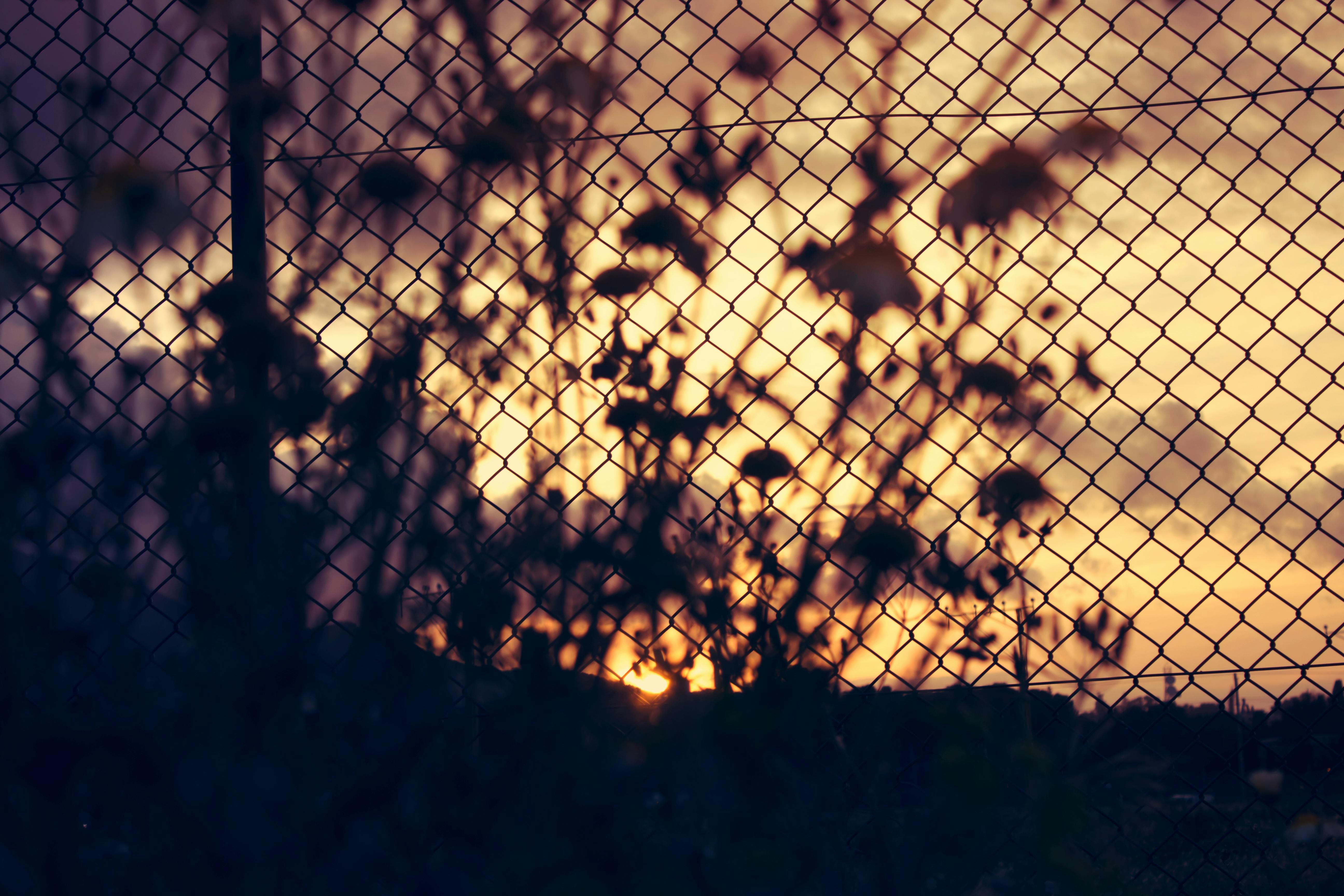 silhouette of a chain link fence during sunset