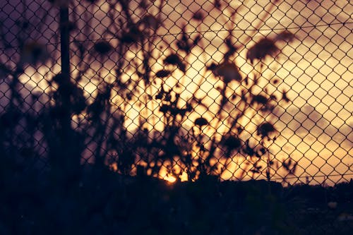 Free Silhouette of Chain Link Fence during Sunset Stock Photo