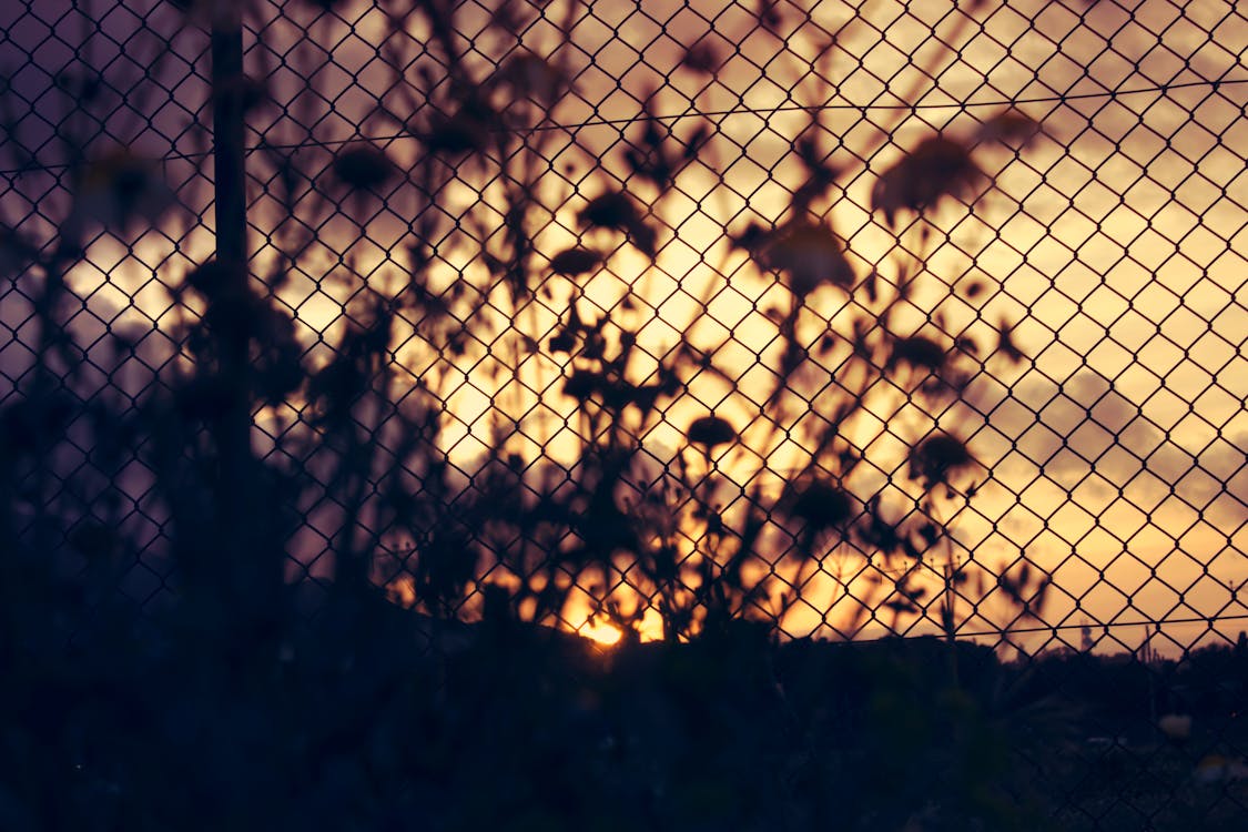 Silhouette of a Chain Link Fence during Sunset