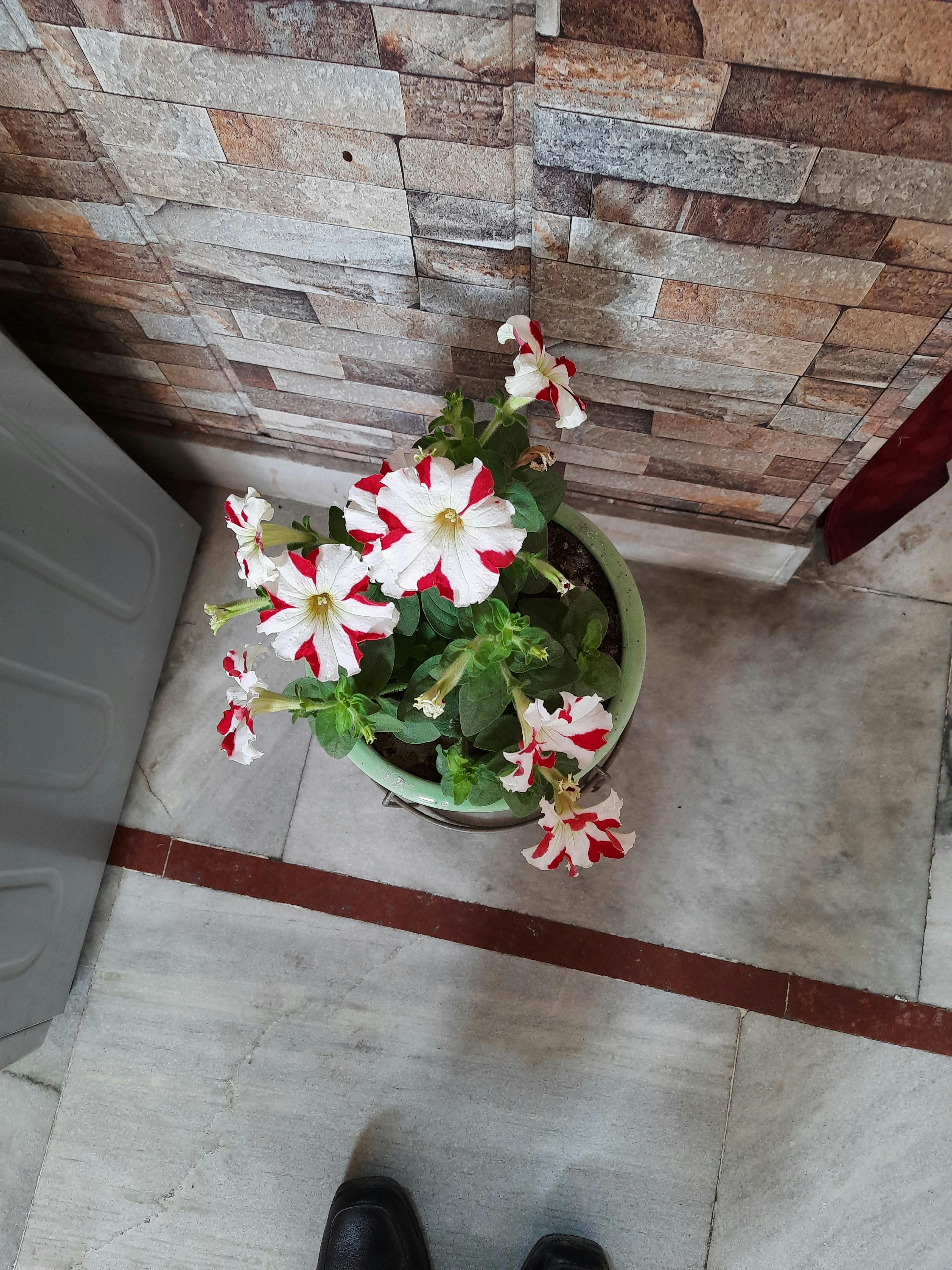 Digital interface showing image file sizes and optimization tools, representing technical aspects of image SEO.