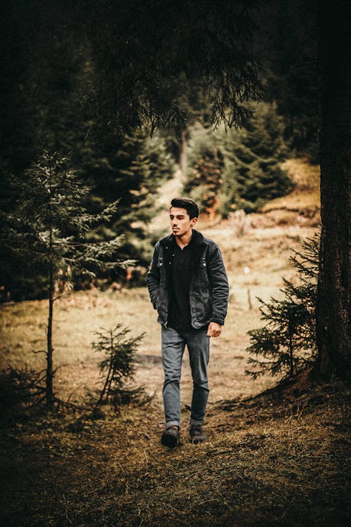 A Man Walking in the Forest