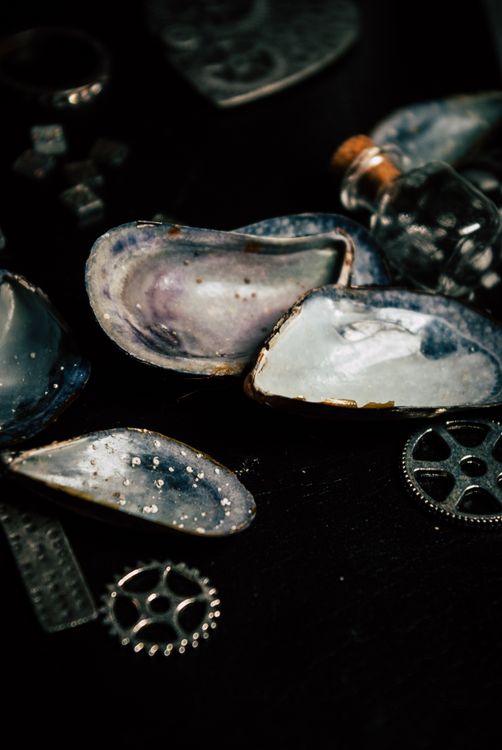 Seashells placed among metal gear wheels and glass jar · Free Stock Photo