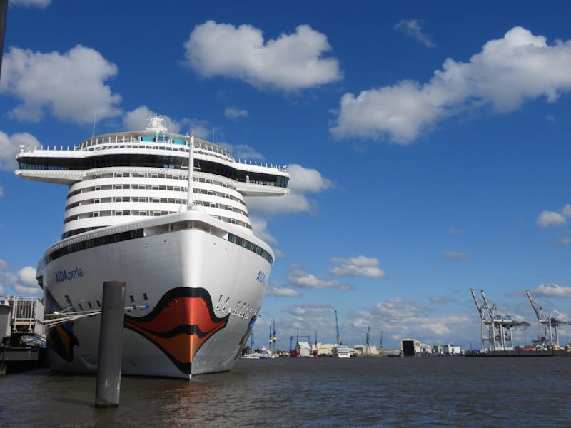 Understanding Terpenes: The Aromatic Compounds in Cannabis