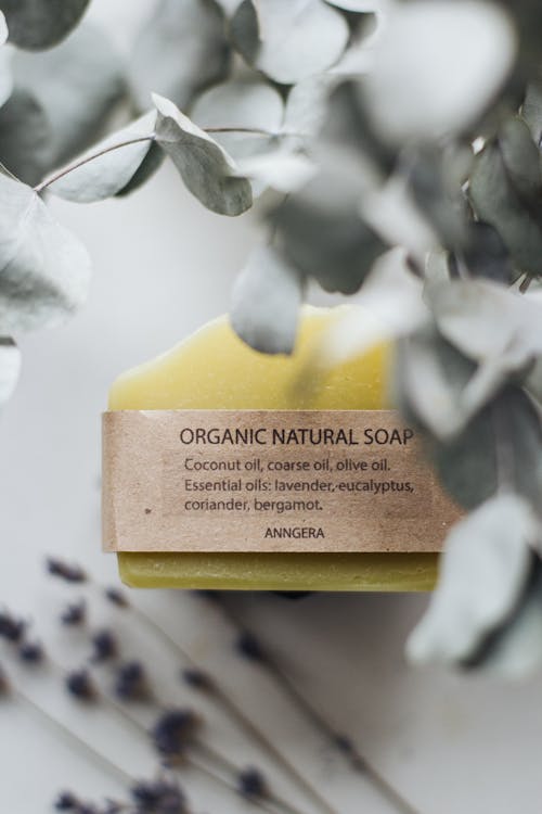 Organic soap place under branches of plant