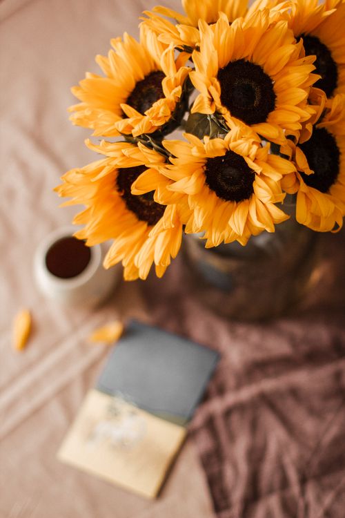 Free From above of blooming bouquet of sunflowers in vase near book and ceramic white mug with drink placed on tablecloth on table in light place Stock Photo