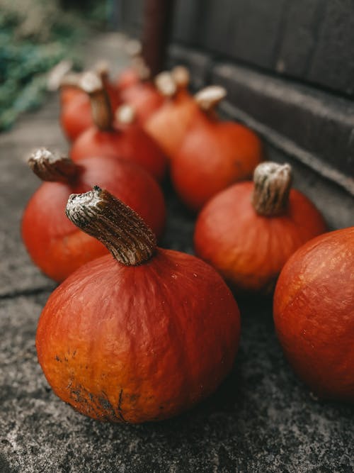 Pile of pumpkins on ground