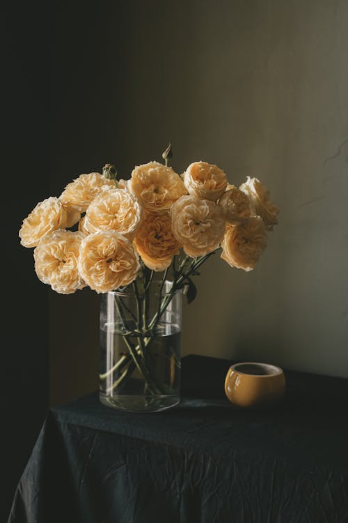 Blooming roses with green stems in glass vase placed on table near mug of hot drink near wall in room