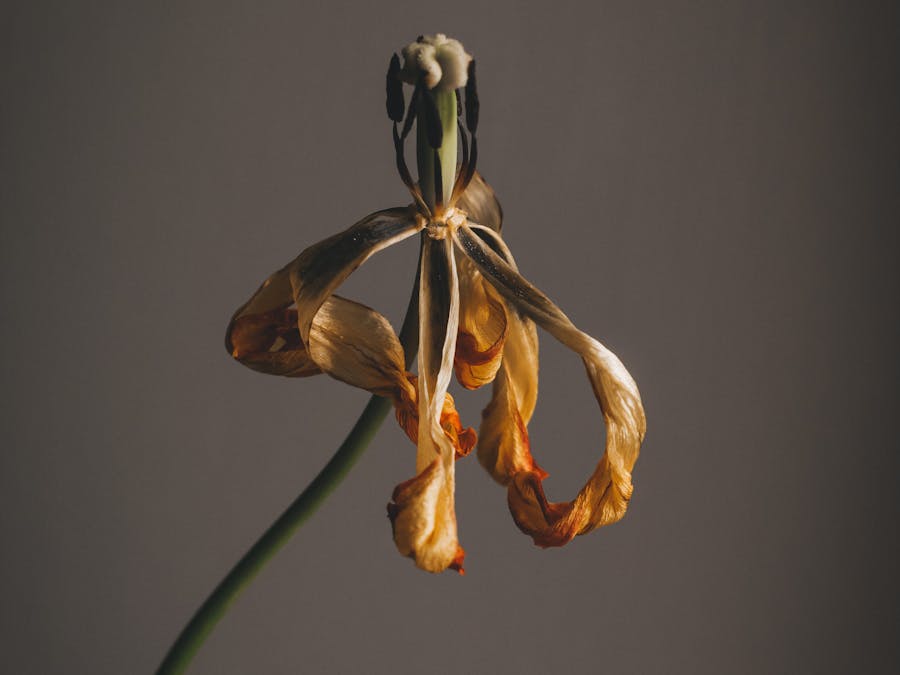 Photo by Marta Dzedyshko