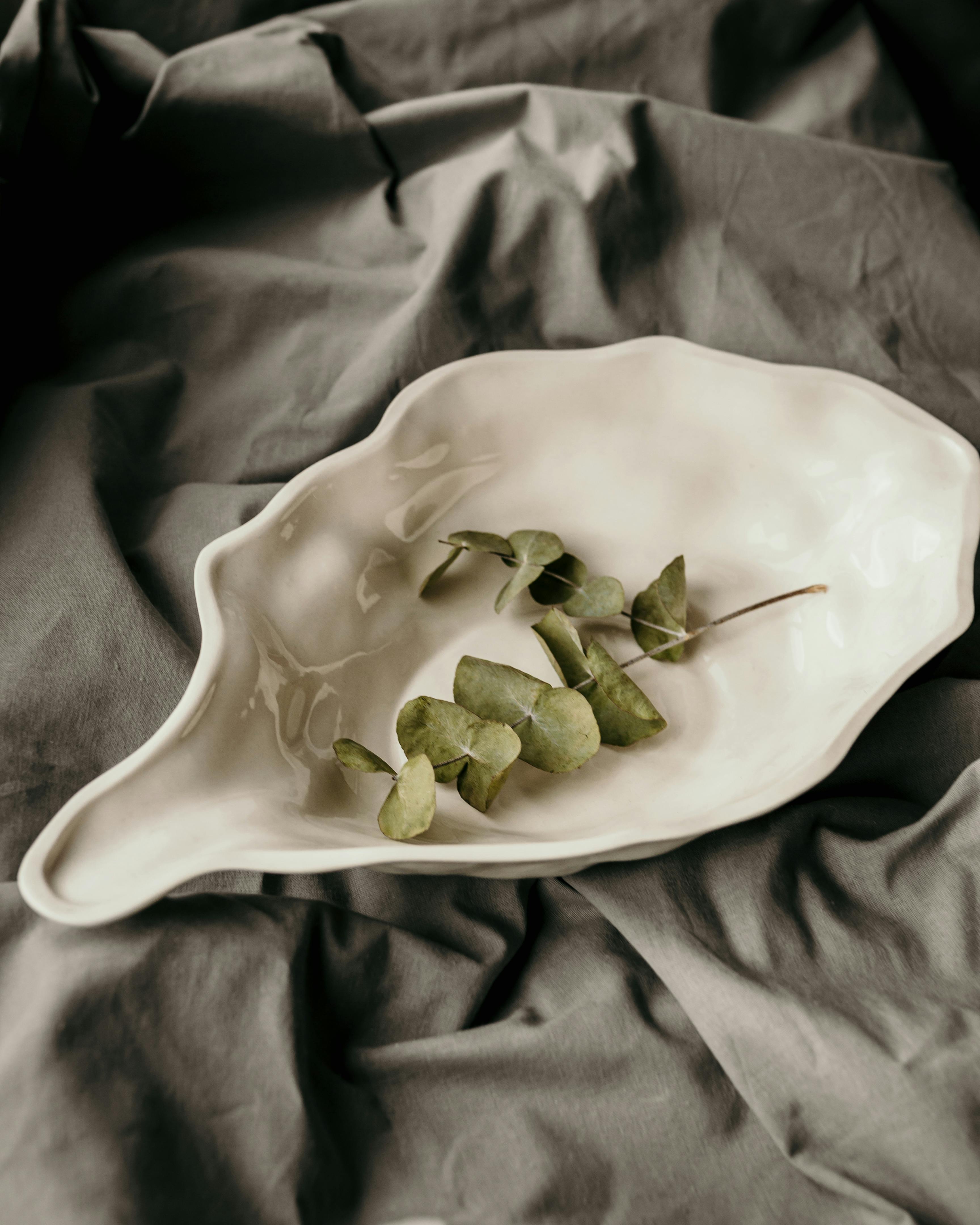 From above of green withered leaves with thin stalk on ceramic plate placed on creased gray textile in light room