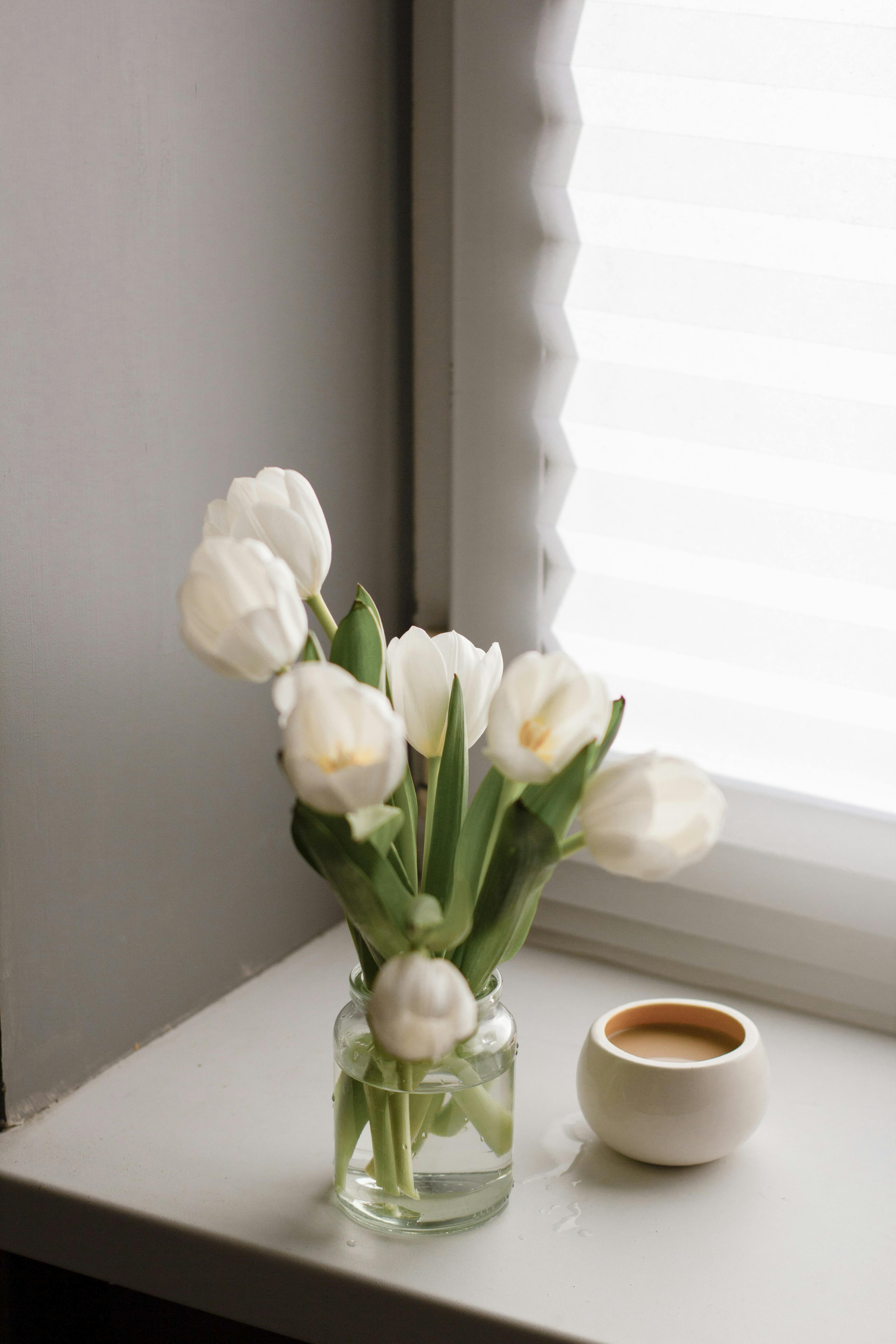 Glass jar with blooming white flowers near cup of hot coffee with milk placed near window in light room at home