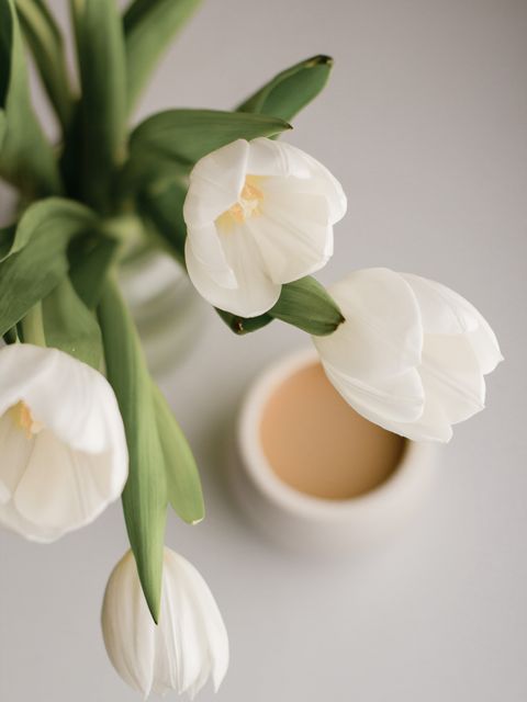 Civil Ceremony invitation tulip-morning