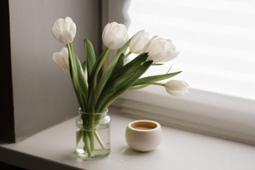 Free Bouquet on windowsill near cup of coffee Stock Photo