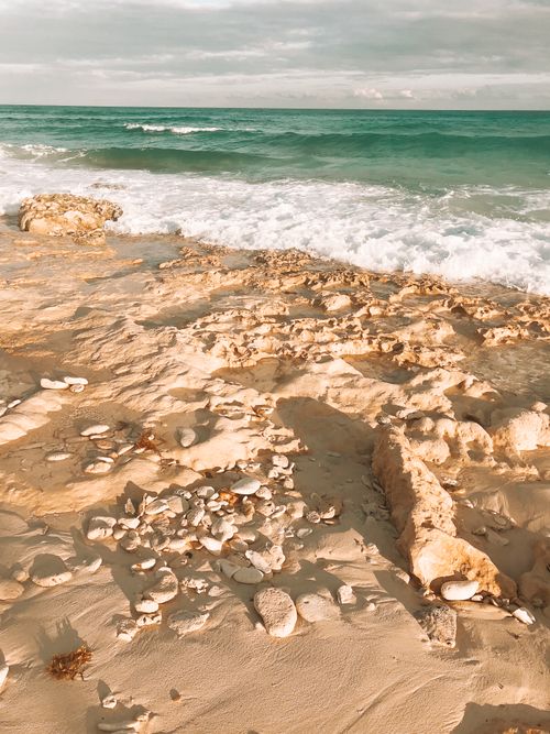 Free Explore the tranquil beach of San Miguel de Cozumel with pristine sand and turquoise waters. Stock Photo