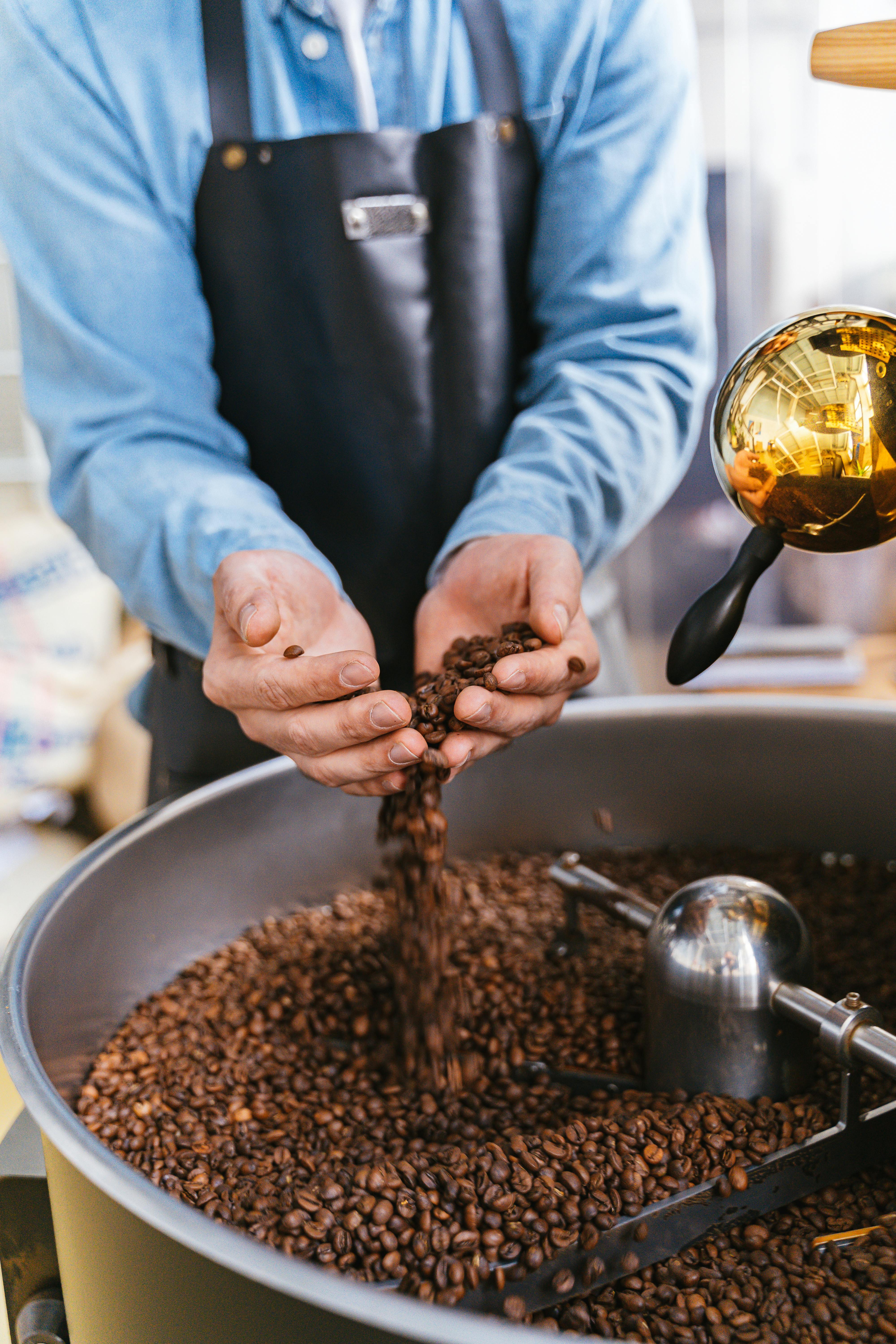 Close-up of a barista selecting roasted coffee beans in a traditional roastery.