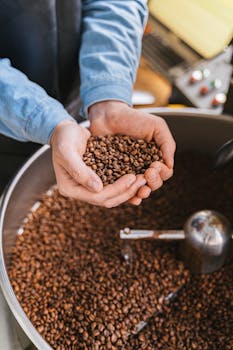 Close-up of hands holding aromatic roasted coffee beans over a large roasting machine.