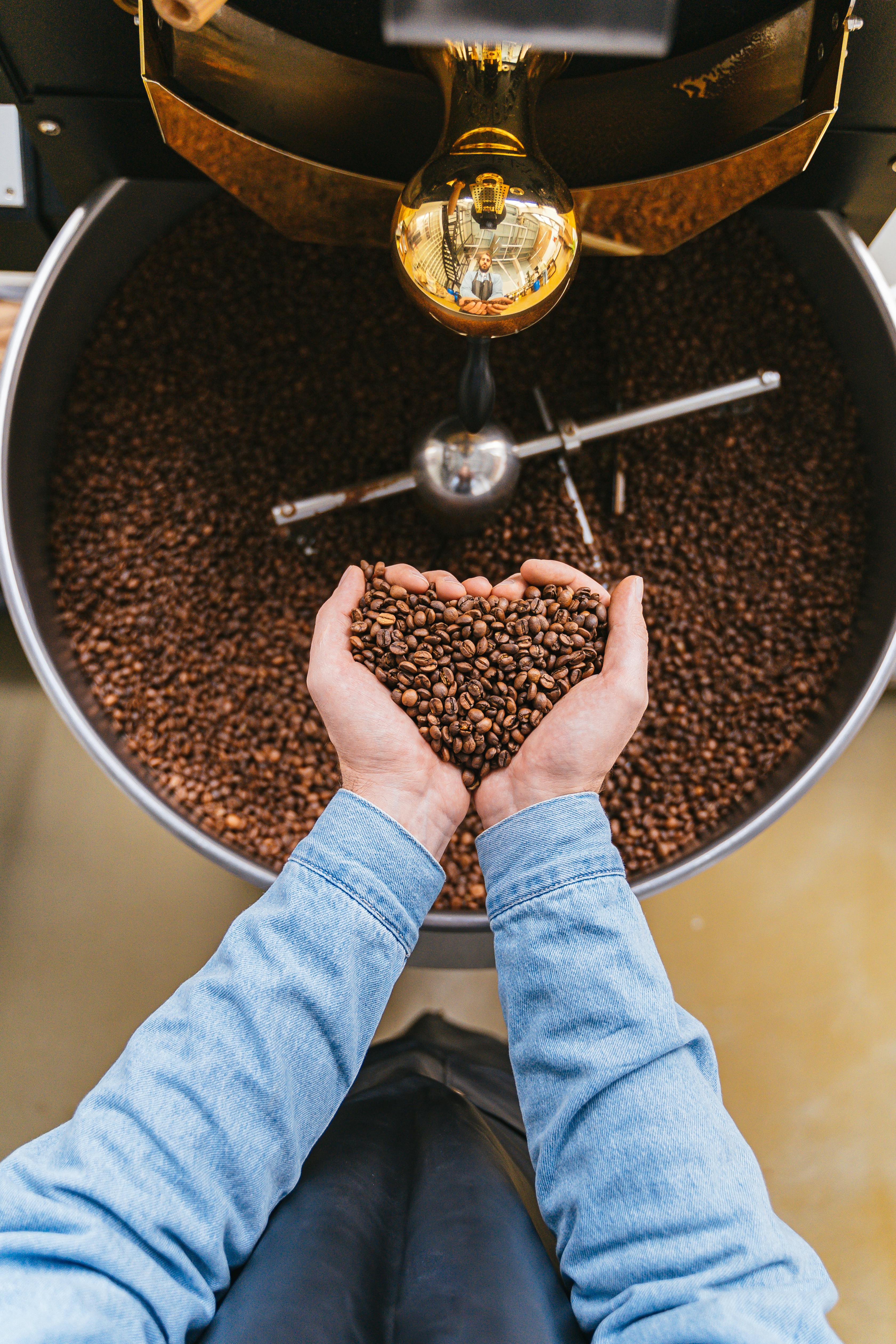 person holding coffee beans in hands