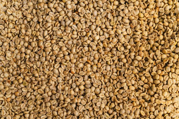 Close-up view of raw unroasted coffee beans showcasing a detailed texture ideal for backgrounds.