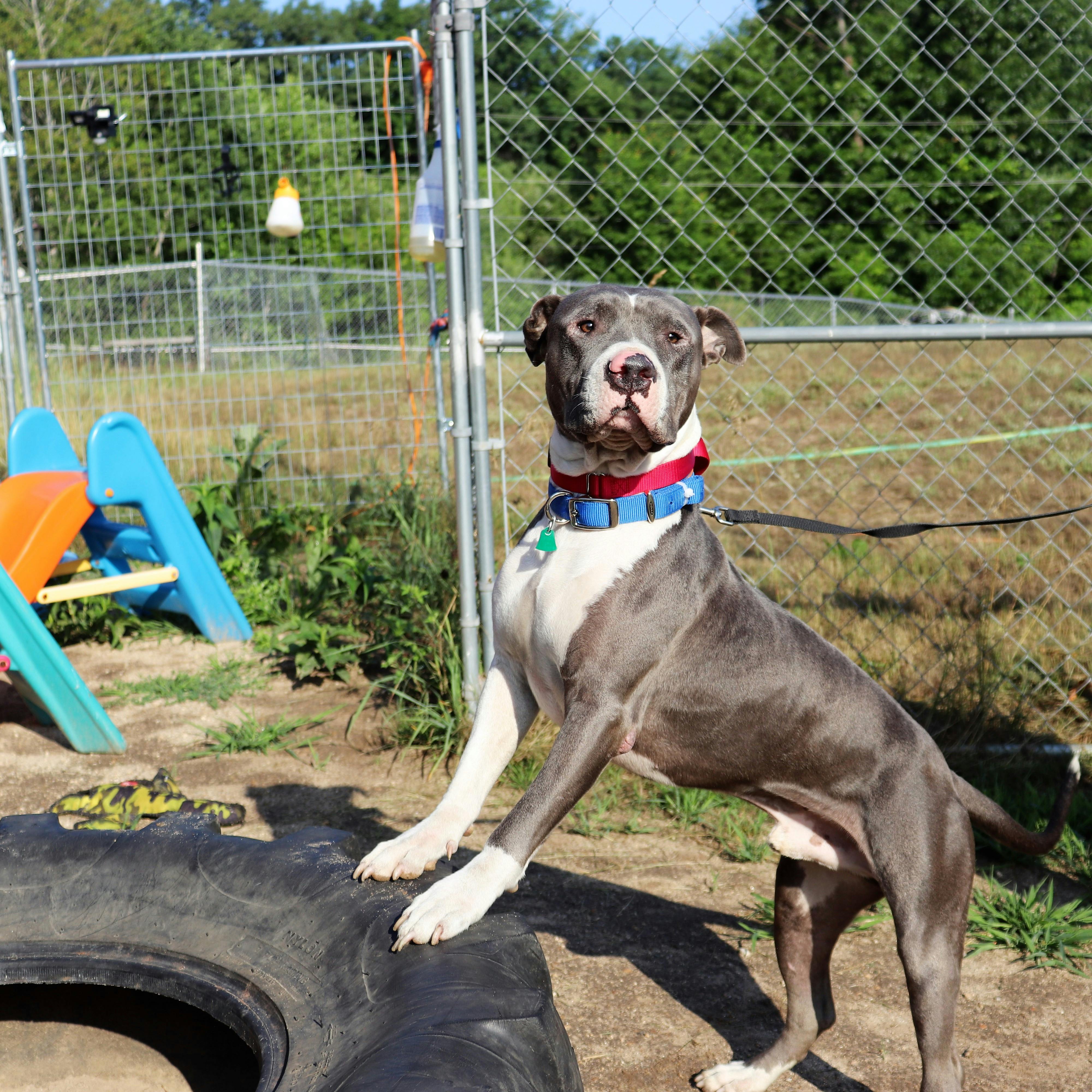Polikistik Over Sendromu (PCOS): Nedenleri, Belirtileri ve Yönetim Stratejileri