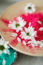 Pink and White Flower in Brown Ceramic Bowl