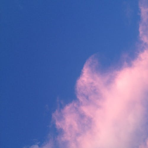 Безкоштовне стокове фото на тему «атмосфера, білий, блакитне небо» стокове фото