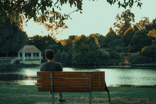 Free Back View of a Man Sitting on a Bench Stock Photo