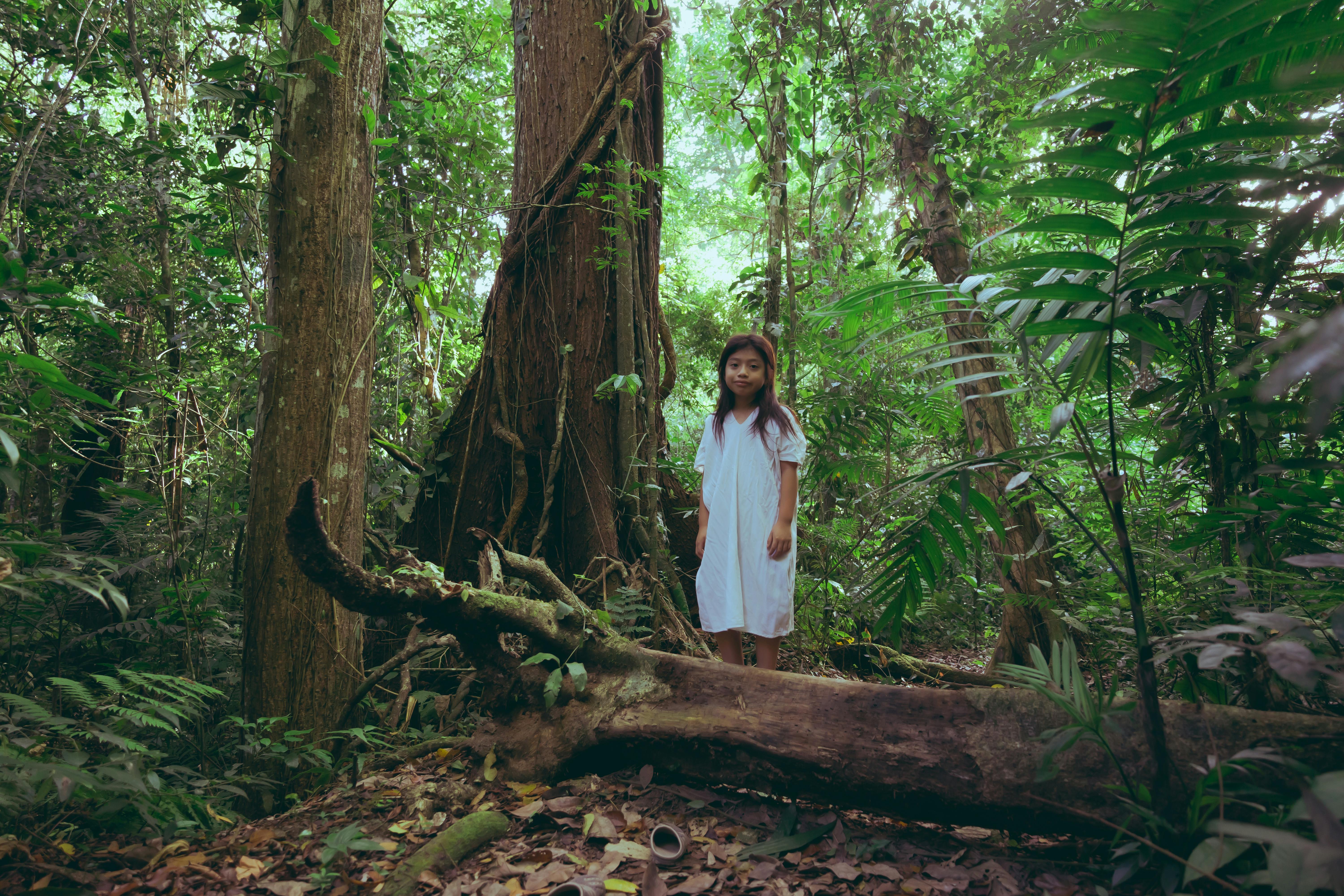photo of young girl standing behind tree trunk