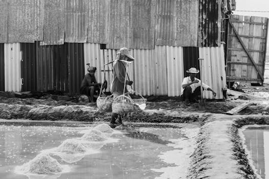 Black and white photo of workers processing salt at a farm in Kampot, Cambodia.