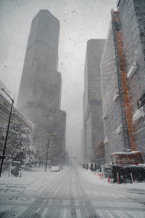 Snow Covered Road Near Buildings