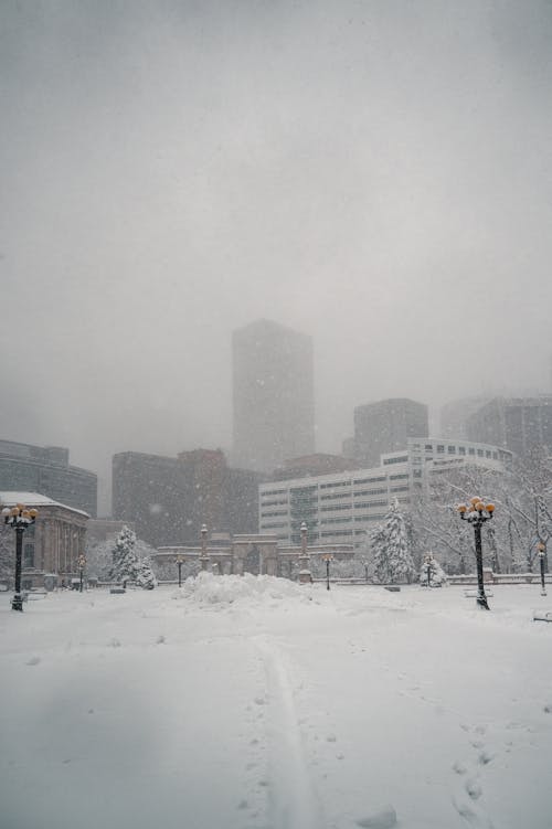 Free stock photo of archicture, blizzard, brown palace