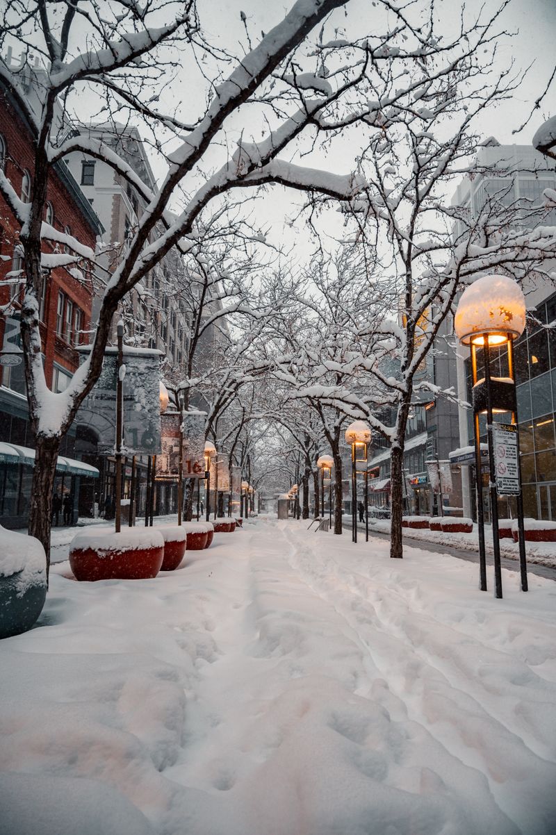 Snowy city street in winter