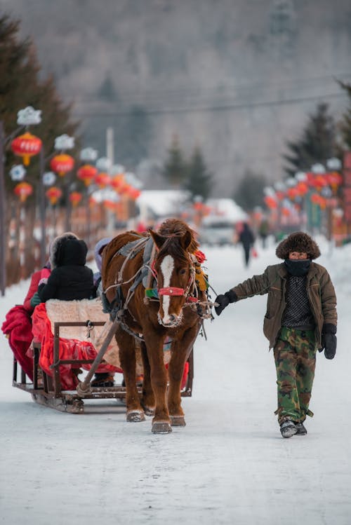 Photo of a Man Walking with a Horse Pulling a Sleigh