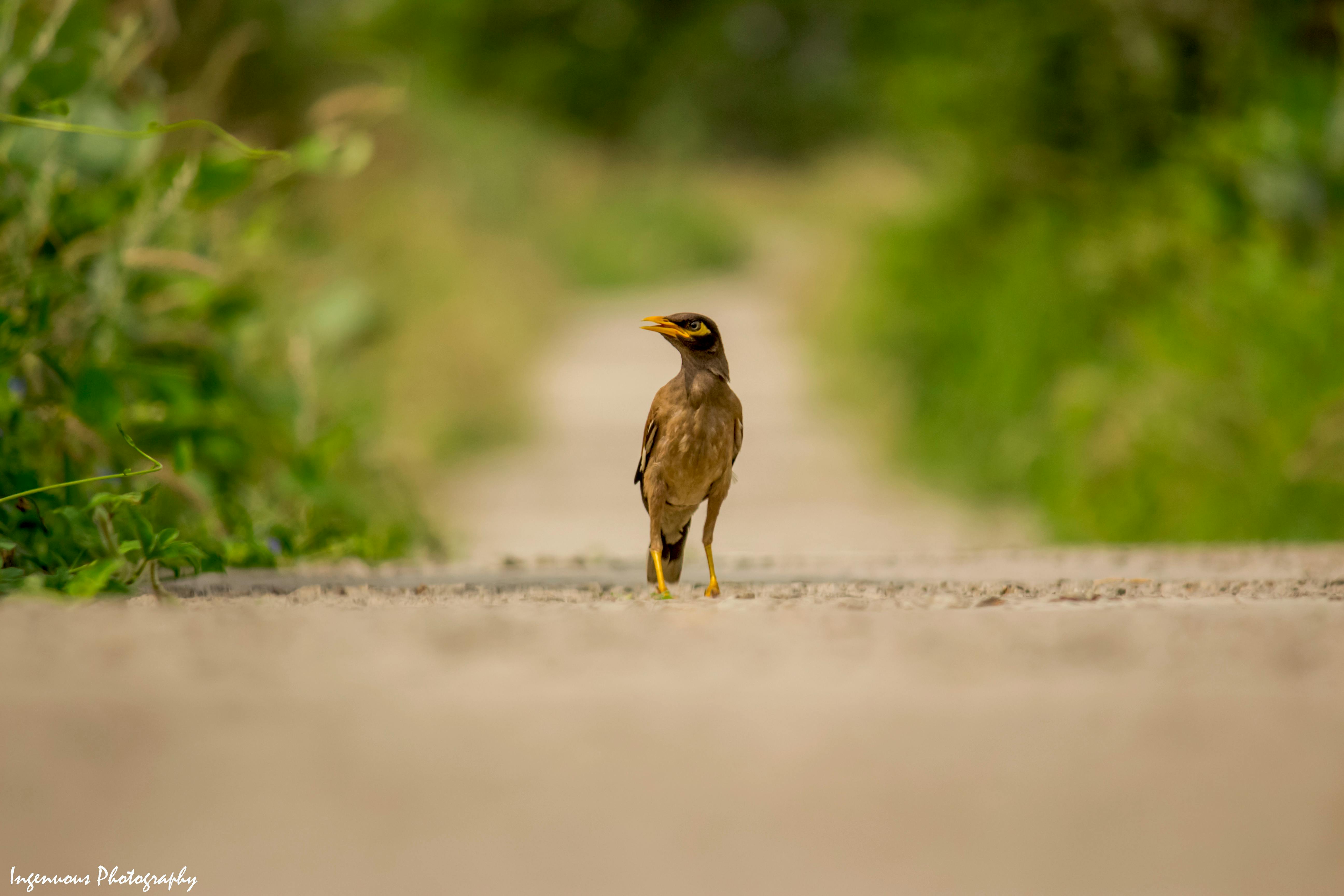 Professional therapist preparing for a massage