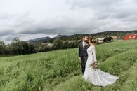 Free stock photo of bride, couple, dress