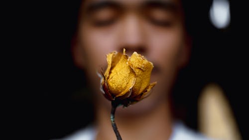 Soft focus of crop anonymous Asian male with closed eyes standing in room with small faded rose with yellow petals
