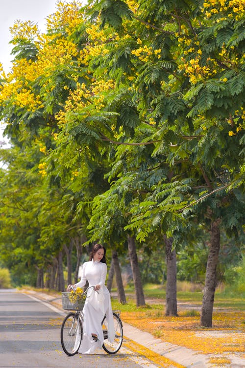 Foto stok gratis alam, anggun, bagus