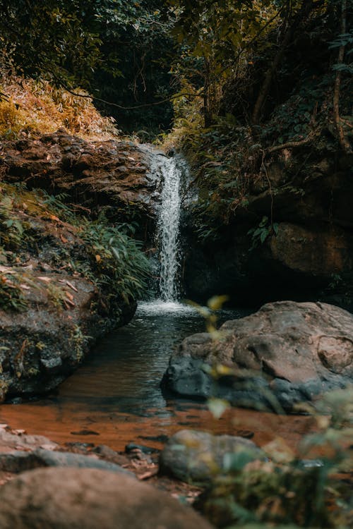 Foto profissional grátis de água, cachoeira, corrente