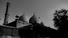 印度一座历史悠久的清真寺黑白景观中，鸟儿飞翔，展现了建筑之美