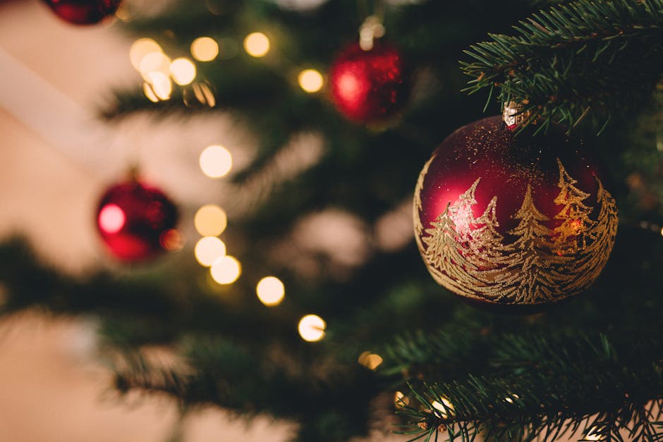 ball, baum, bokeh