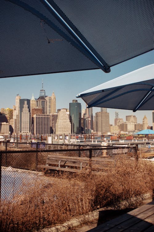 View of a City with Tall Buildings