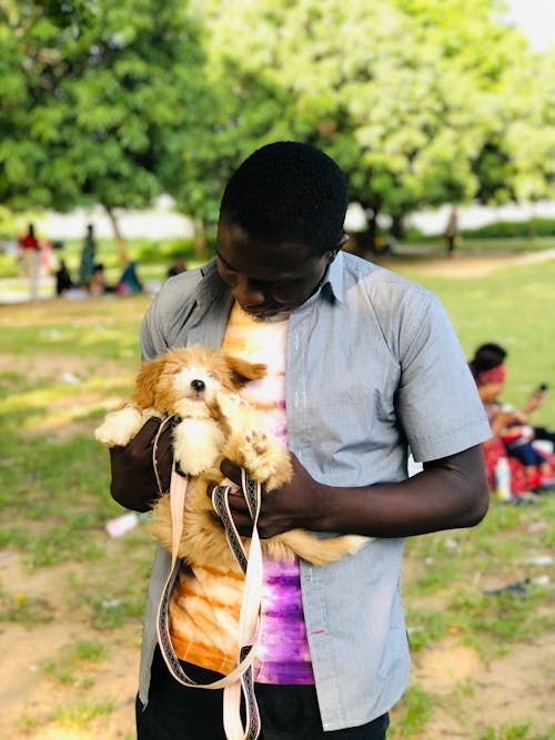 Man in Grey T-shirt Holding Brown Dog