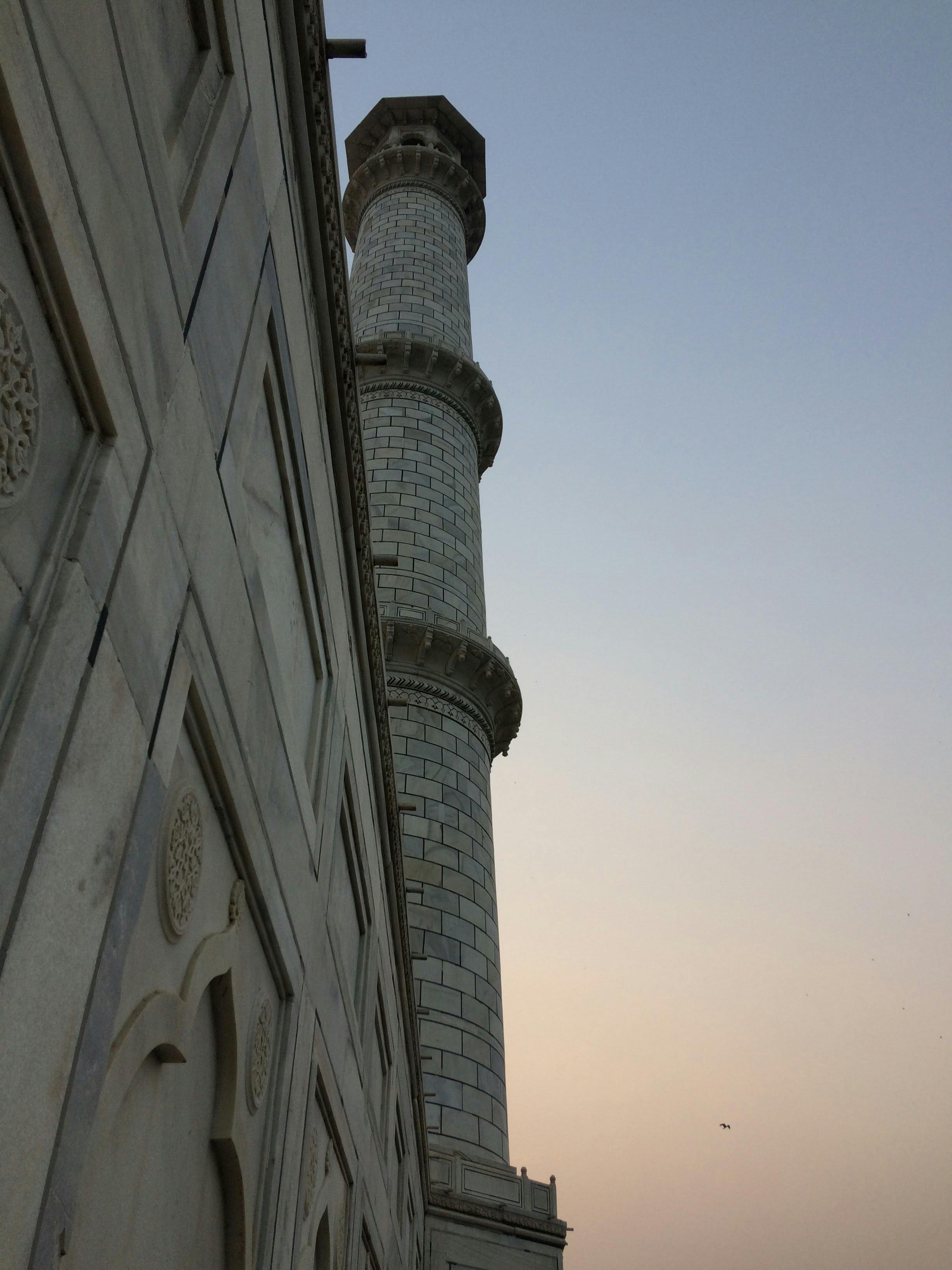 Free Stock Photo Of agra tajmahalpalace tajmahalindia wonderofthew 