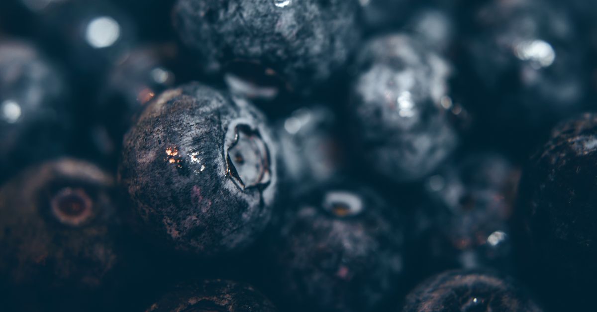 A close-up shot of fresh, juicy blueberries highlighting their texture and natural freshness. - Evidence evidence guide for blueberry fatigue randomized trial