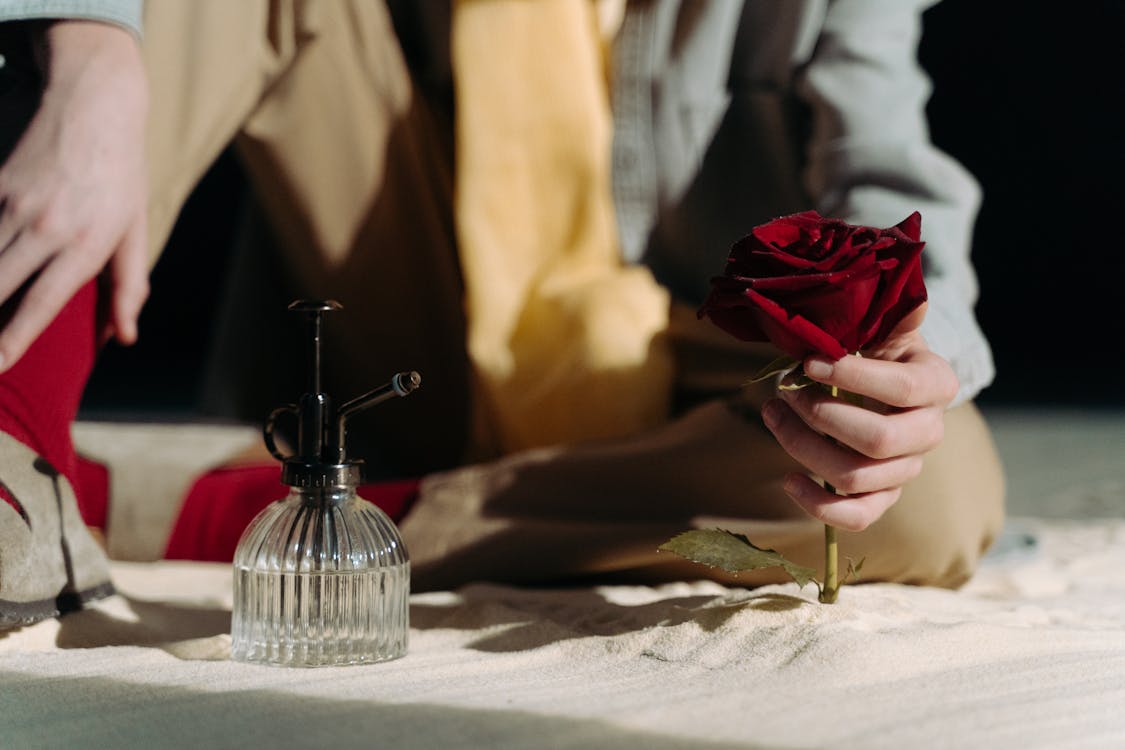 Close-Up Shot of a Person Holding a Red Rose on the Sand