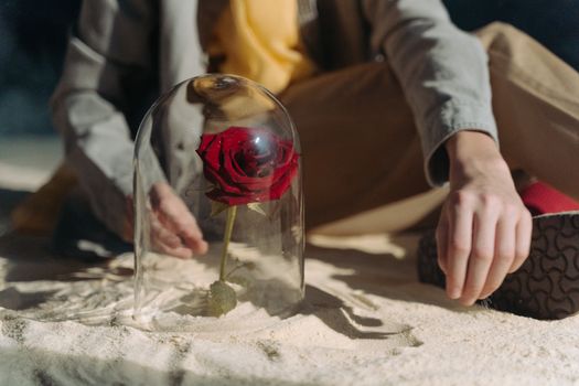 A red rose under a glass dome on sand, with an individual seated nearby.