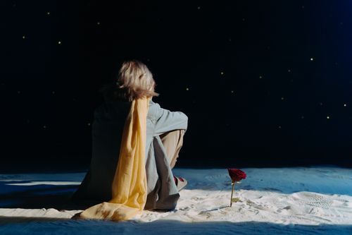 Free Adult sits with yellow scarf in sand under a starry sky, next to a red rose. Stock Photo