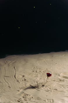 A solitary red rose planted in the sand under a dark, starry sky captures a sense of mystery and solitude.