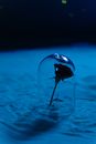 Rose Under Glass Cylinder on the Sand in Blue Light