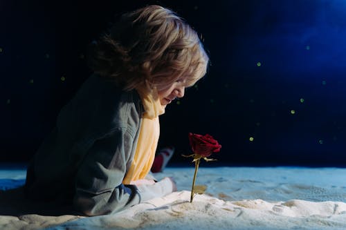 Free Boy in Yellow Scarf Lying on the Sand and Looking at red Rose Stock Photo