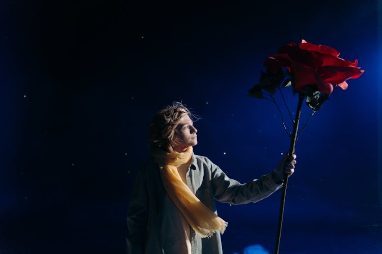 Boy With Yellow Scarf Holding Big Red Rose