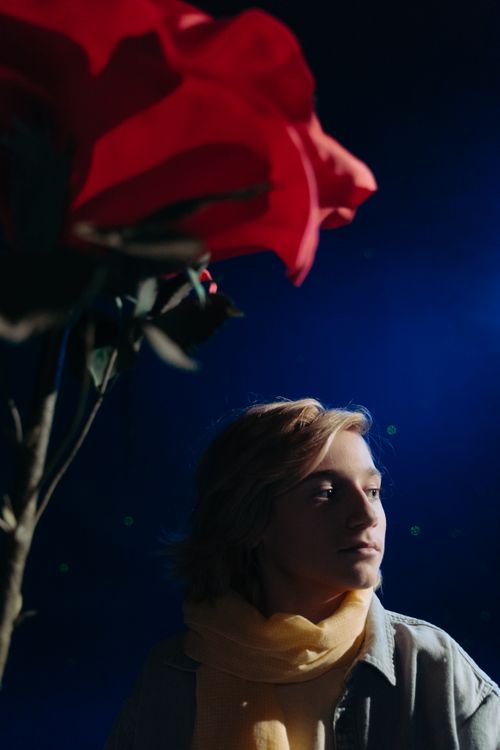 Free Captivating portrait with a denim look and vibrant red rose against a starry night backdrop. Stock Photo